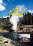 Yellowstone Park DVD